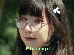 Elvinagitt