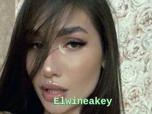 Elwineakey