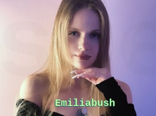 Emiliabush