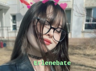 Erlenebate