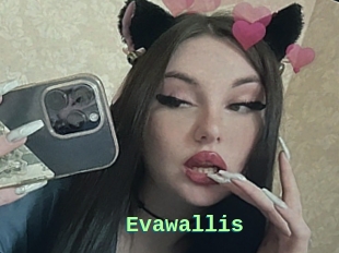 Evawallis