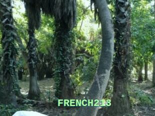 FRENCH213