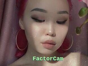 FactorCam