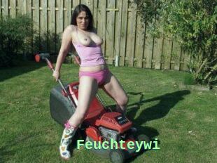 Feuchteywi