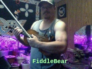 FiddleBear