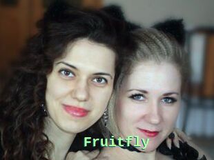 Fruitfly