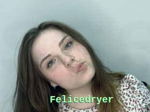 Felicedryer