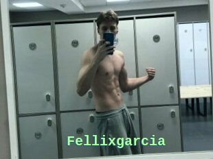 Fellixgarcia