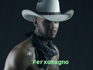 Ferxomagno