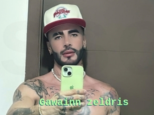 Gawainn_zeldris
