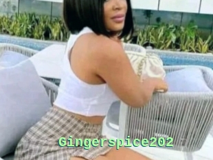 Gingerspice202