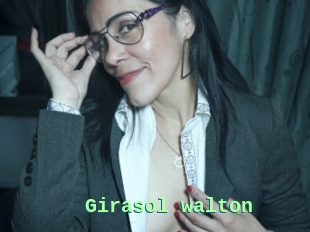 Girasol_walton