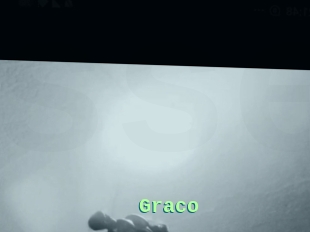 Graco
