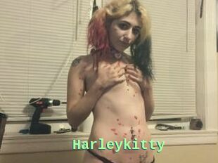 Harleykitty