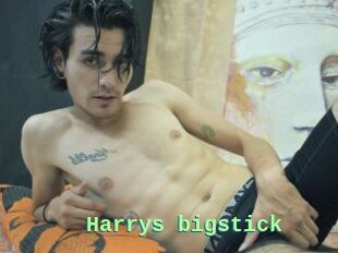 Harrys_bigstick