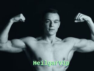 HeilgarVip