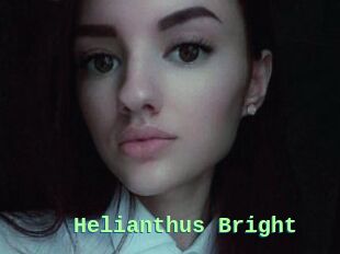 Helianthus_Bright