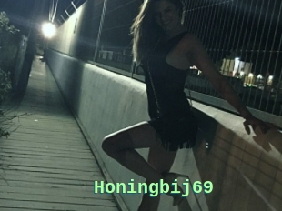 Honingbij69