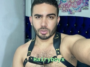 Hairyboyx