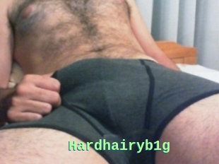 Hardhairyb1g