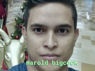 Harold_bigcock