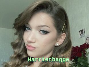 Harrietbagge