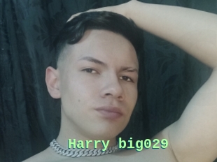 Harry_big029