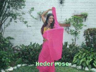 Hederrose