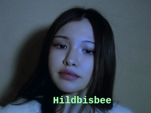 Hildbisbee