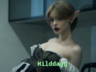 Hilddagg