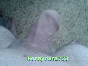 Hornydan1733
