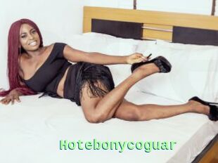Hotebonycoguar