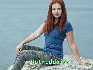 Hotreddaisy