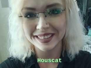 Houscat
