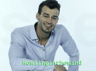 Howlinginthewind