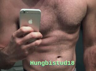 Hungbistud18
