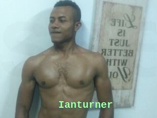 Ianturner
