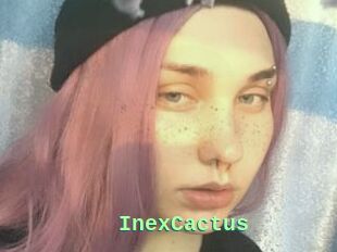 InexCactus