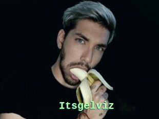 Itsgelviz