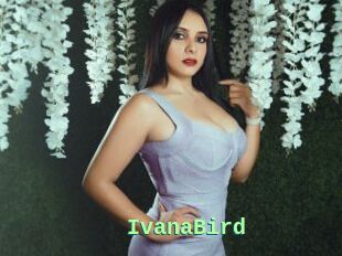 IvanaBird