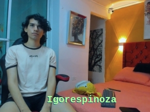 Igorespinoza