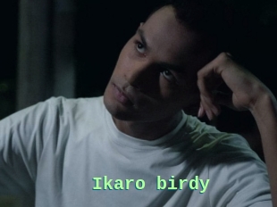 Ikaro_birdy