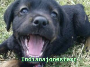Indianajonestest