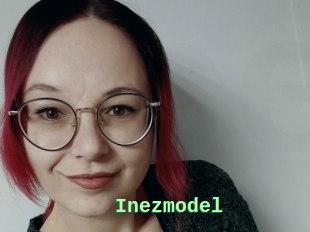 Inezmodel