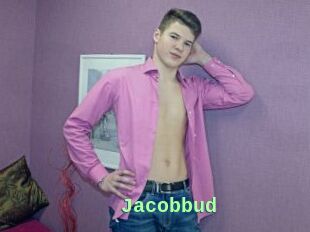 Jacobbud
