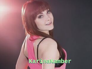 KarinaKamber
