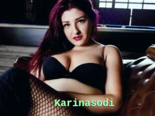 Karinasodi