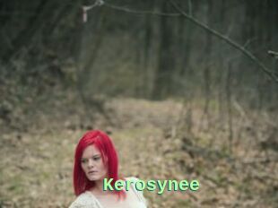 Kerosynee