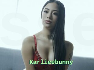 Karlieebunny