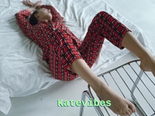 Katevibes